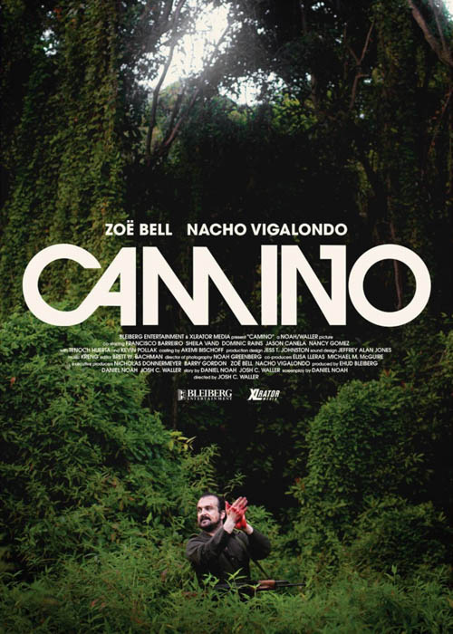 camino_artwork
